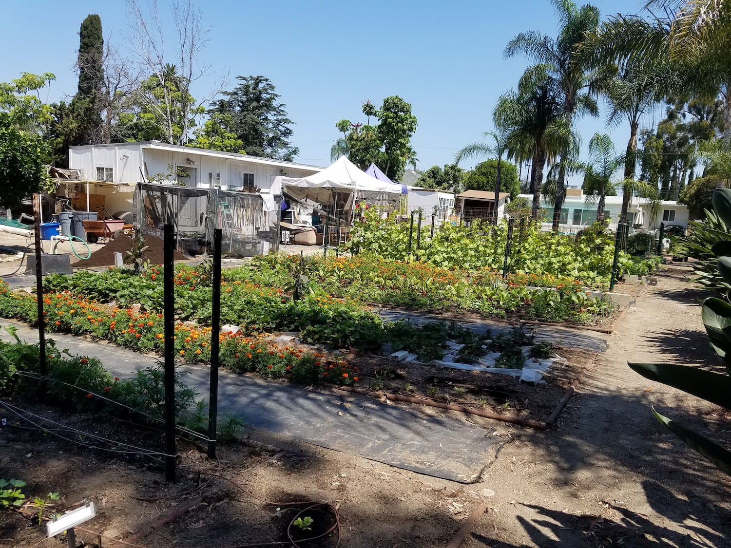 Nature farm garden grove